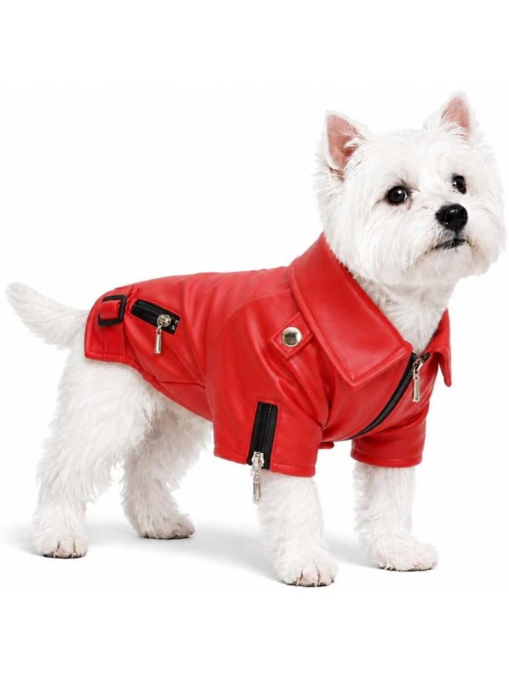 Stylish Dog Leather Jacket - Warm Windproof Coat for Small to Large Dogs, Red XS